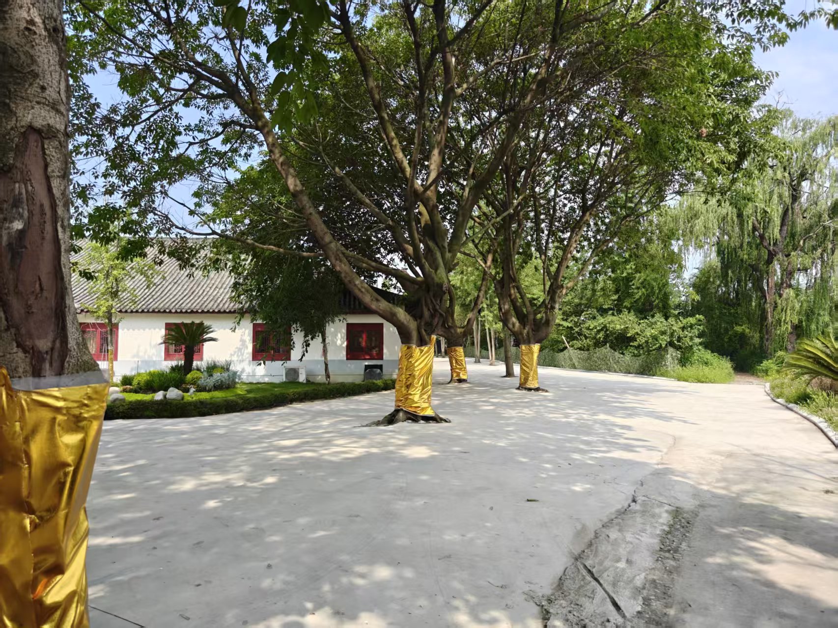 0e4898d8ae835251420540a9e101f10b 0e4898d8ae835251420540a9e101f10b